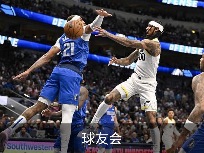 球友会概况